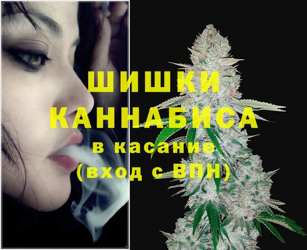 спайс Арсеньев