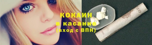 спайс Арсеньев