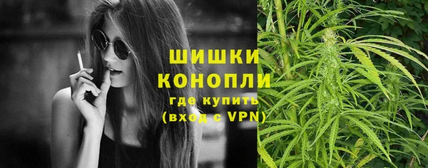 спайс Арсеньев