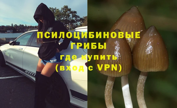 спайс Арсеньев