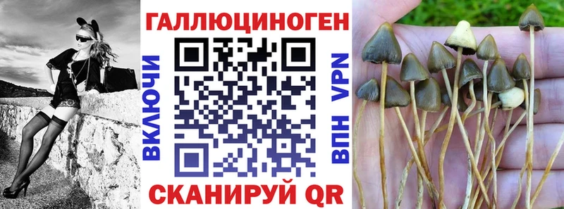 Псилоцибиновые грибы Magic Shrooms  цены наркотик  площадка формула  Ельня 